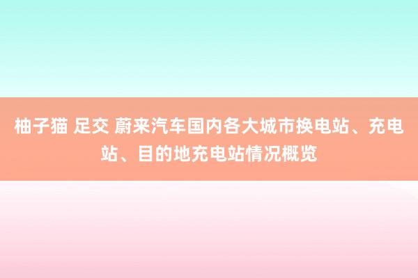 柚子猫 足交 蔚来汽车国内各大城市换电站、充电站、目的地充电站情况概览