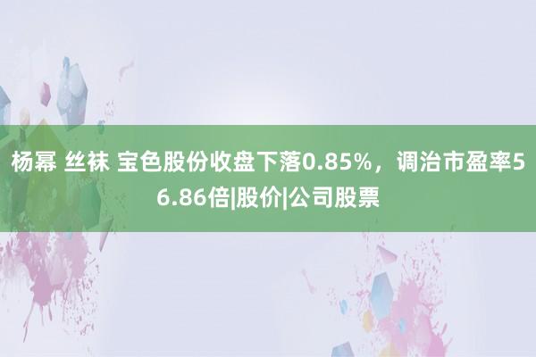 杨幂 丝袜 宝色股份收盘下落0.85%，调治市盈率56.86倍|股价|公司股票