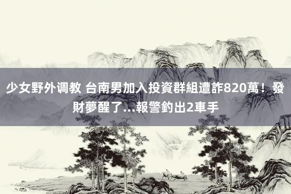 少女野外调教 台南男加入投資群組遭詐820萬！發財夢醒了...報警釣出2車手