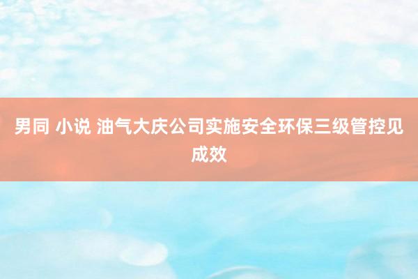 男同 小说 油气大庆公司实施安全环保三级管控见成效