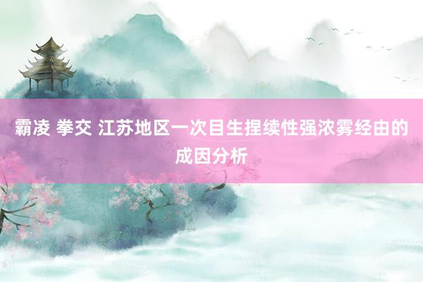霸凌 拳交 江苏地区一次目生捏续性强浓雾经由的成因分析