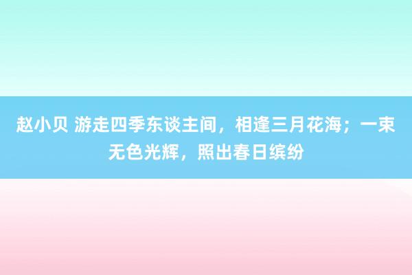 赵小贝 游走四季东谈主间，相逢三月花海；一束无色光辉，照出春日缤纷