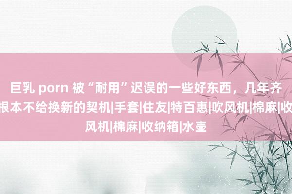 巨乳 porn 被“耐用”迟误的一些好东西，几年齐用不坏，根本不给换新的契机|手套|住友|特百惠|吹风机|棉麻|收纳箱|水壶