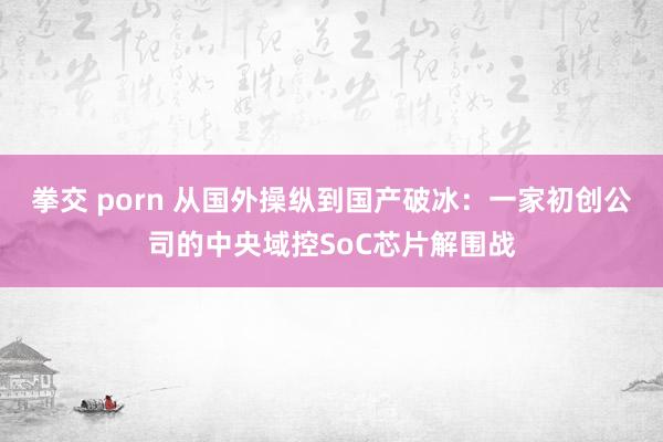 拳交 porn 从国外操纵到国产破冰：一家初创公司的中央域控SoC芯片解围战