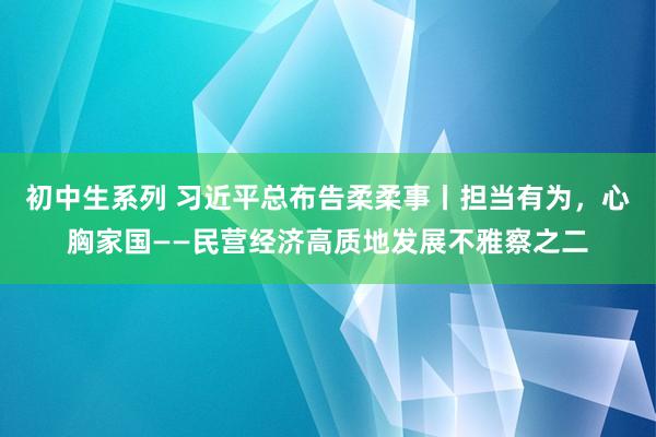 初中生系列 习近平总布告柔柔事丨担当有为，心胸家国——民营经济高质地发展不雅察之二