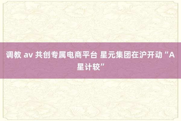 调教 av 共创专属电商平台 星元集团在沪开动“A星计较”