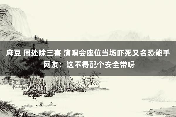 麻豆 周处除三害 演唱会座位当场吓死又名恐能手 网友：这不得配个安全带呀