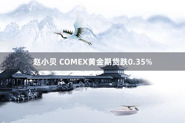 赵小贝 COMEX黄金期货跌0.35%