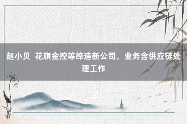 赵小贝  花旗金控等缔造新公司，业务含供应链处理工作