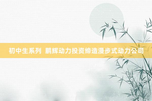 初中生系列  鹏辉动力投资缔造漫步式动力公司