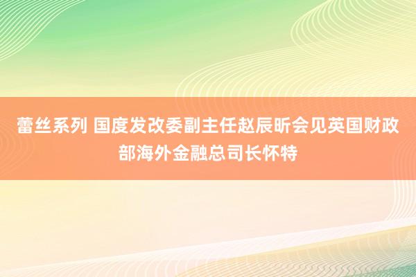 蕾丝系列 国度发改委副主任赵辰昕会见英国财政部海外金融总司长怀特