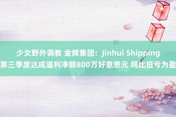 少女野外调教 金辉集团：Jinhui Shipping第三季度达成溢利净额800万好意思元 同比扭亏为盈