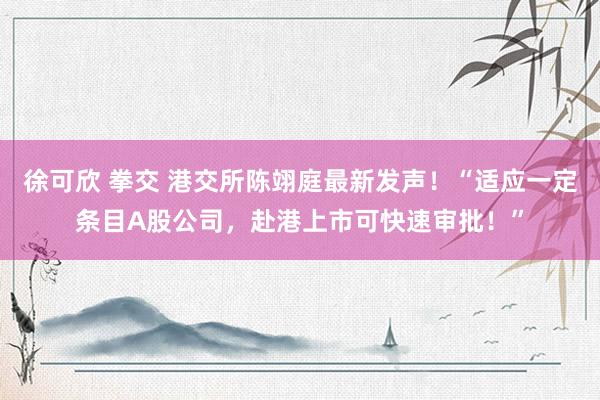 徐可欣 拳交 港交所陈翊庭最新发声！“适应一定条目A股公司，赴港上市可快速审批！”