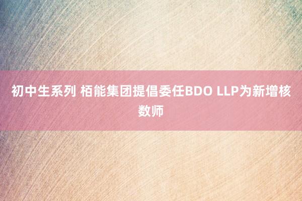 初中生系列 栢能集团提倡委任BDO LLP为新增核数师