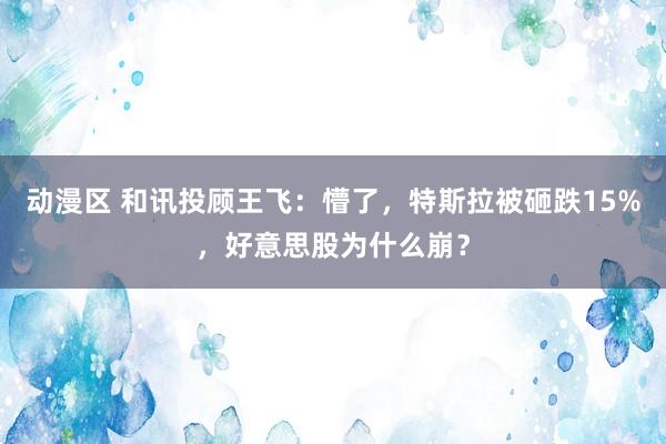 动漫区 和讯投顾王飞：懵了，特斯拉被砸跌15%，好意思股为什么崩？